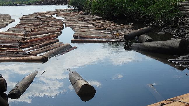 MADERA ILEGAL EN EL PACIFICO 1