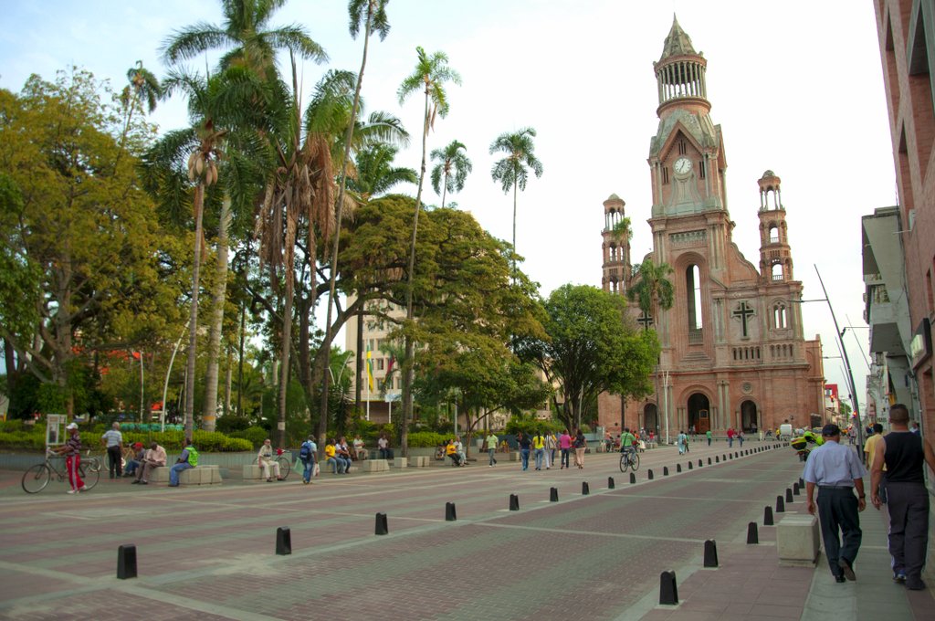 PALMIRA 3