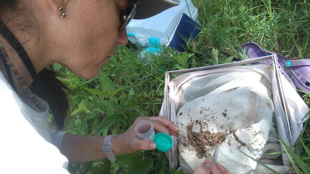 Monitoreo Pescador 2