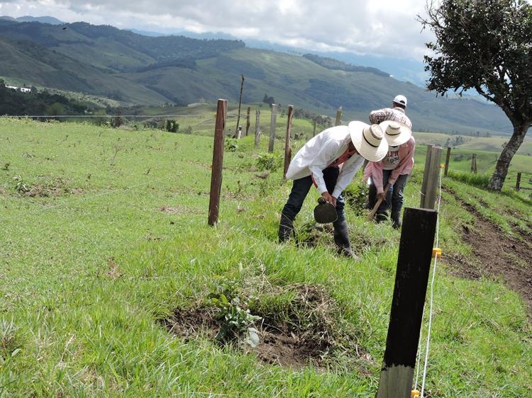 Fondo Participativo 1 Copy