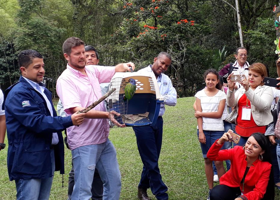 LIBERACION LORAS 2 iloveimg cropped Copy