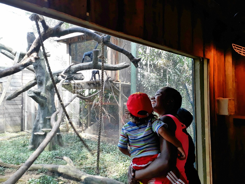 VISITAZOOELESTERO2141