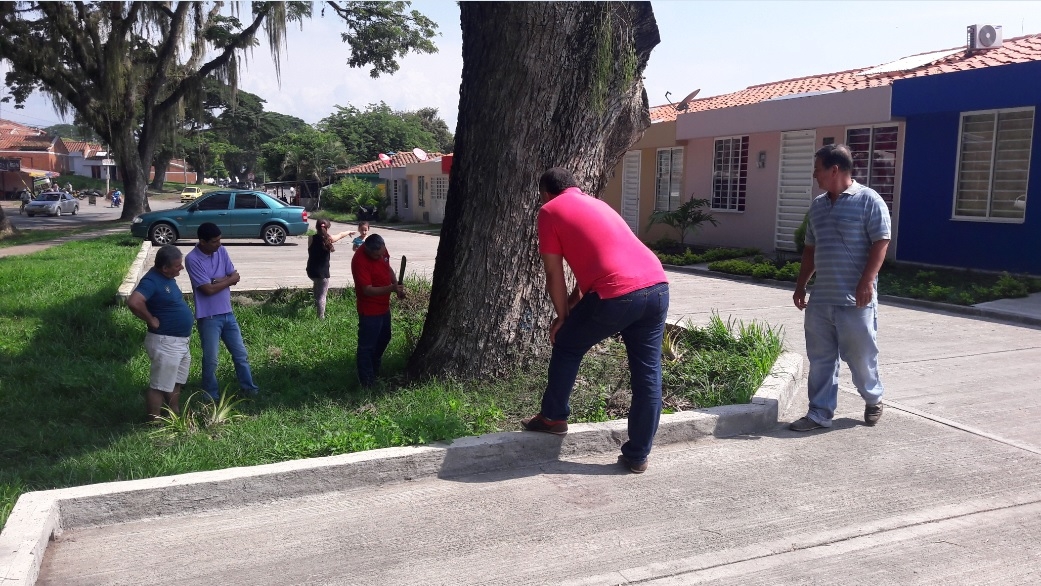arbol cartago1
