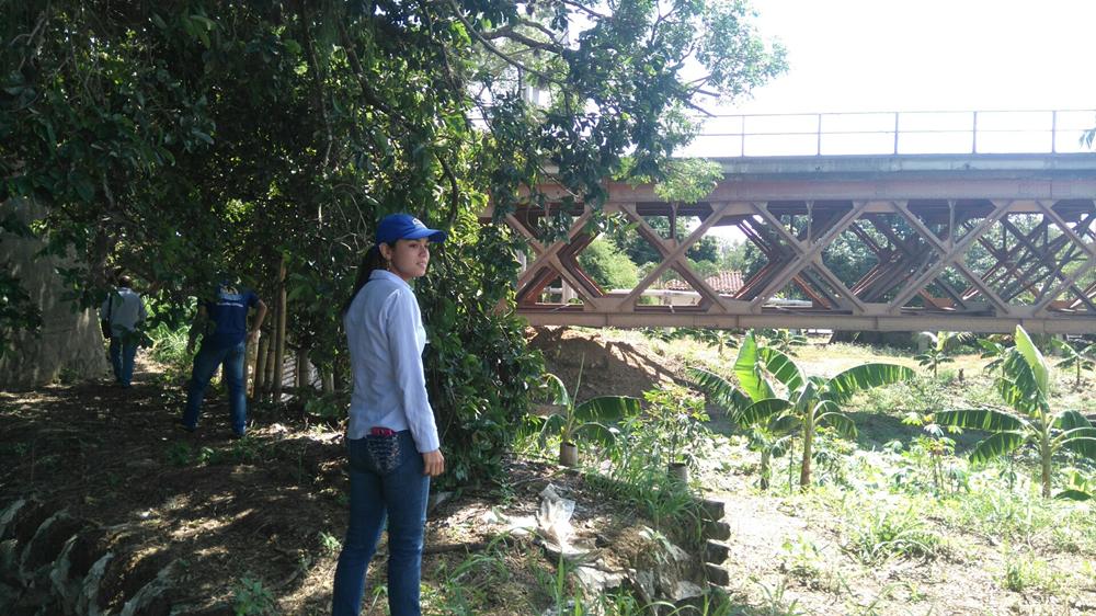 diques dar brut 1 Copy