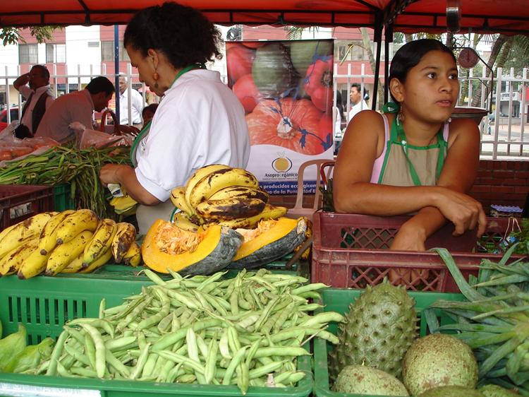 mercado campesino Copy