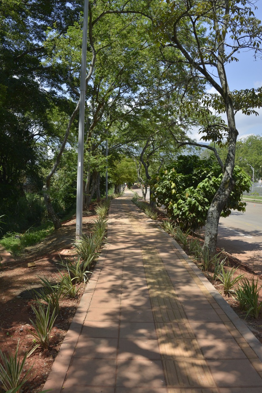 canalaksdafña
