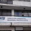 Dirección Ambiental Regional Pacífico Este
