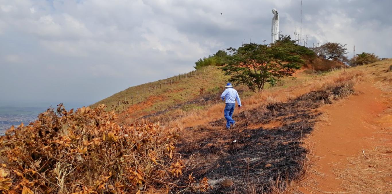  LA RESTAURACIÓN DE CRISTO REY DEPENDERÁ DE LA REAPARICIÓN DE LAS LLUVIAS