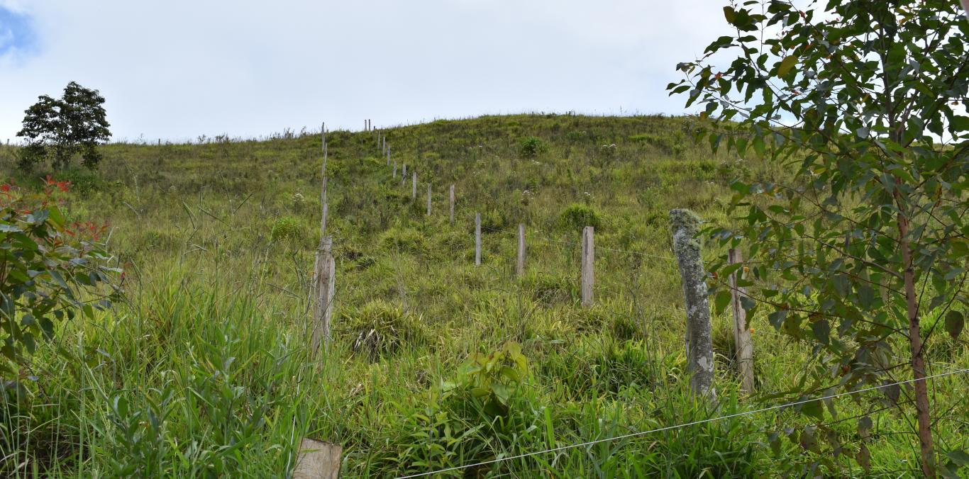 CVC ESTÁ PROTEGIENDO LA PARTE ALTA DE YUMBO