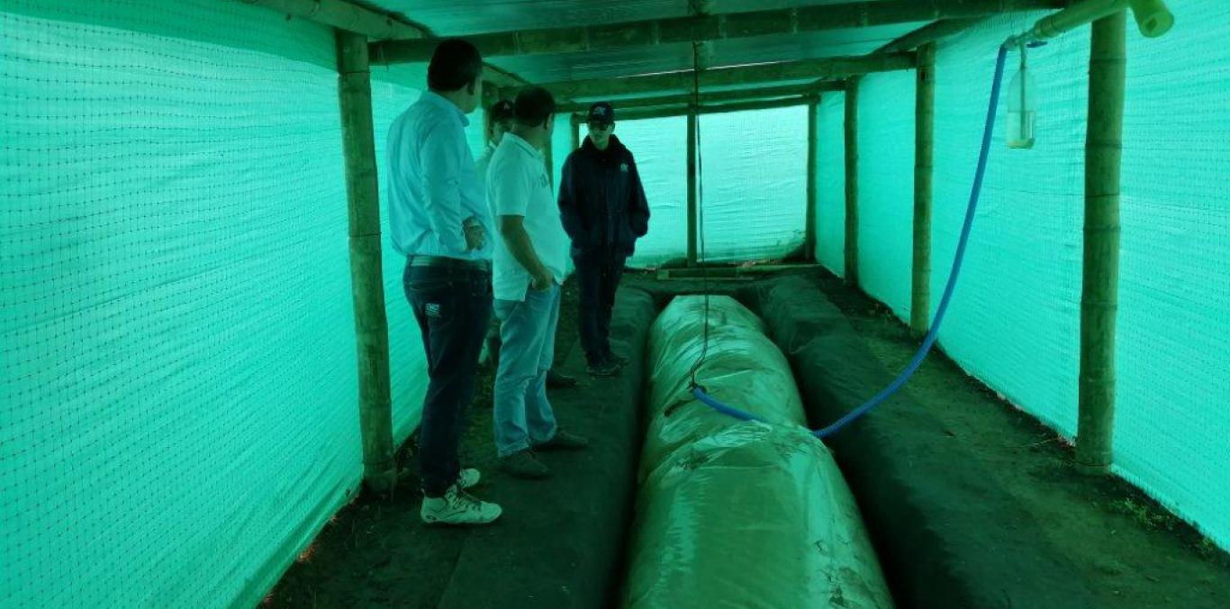 SISTEMAS BIODIGESTORES PARA FAMILIAS CAMPESINAS DE BOLÍVAR