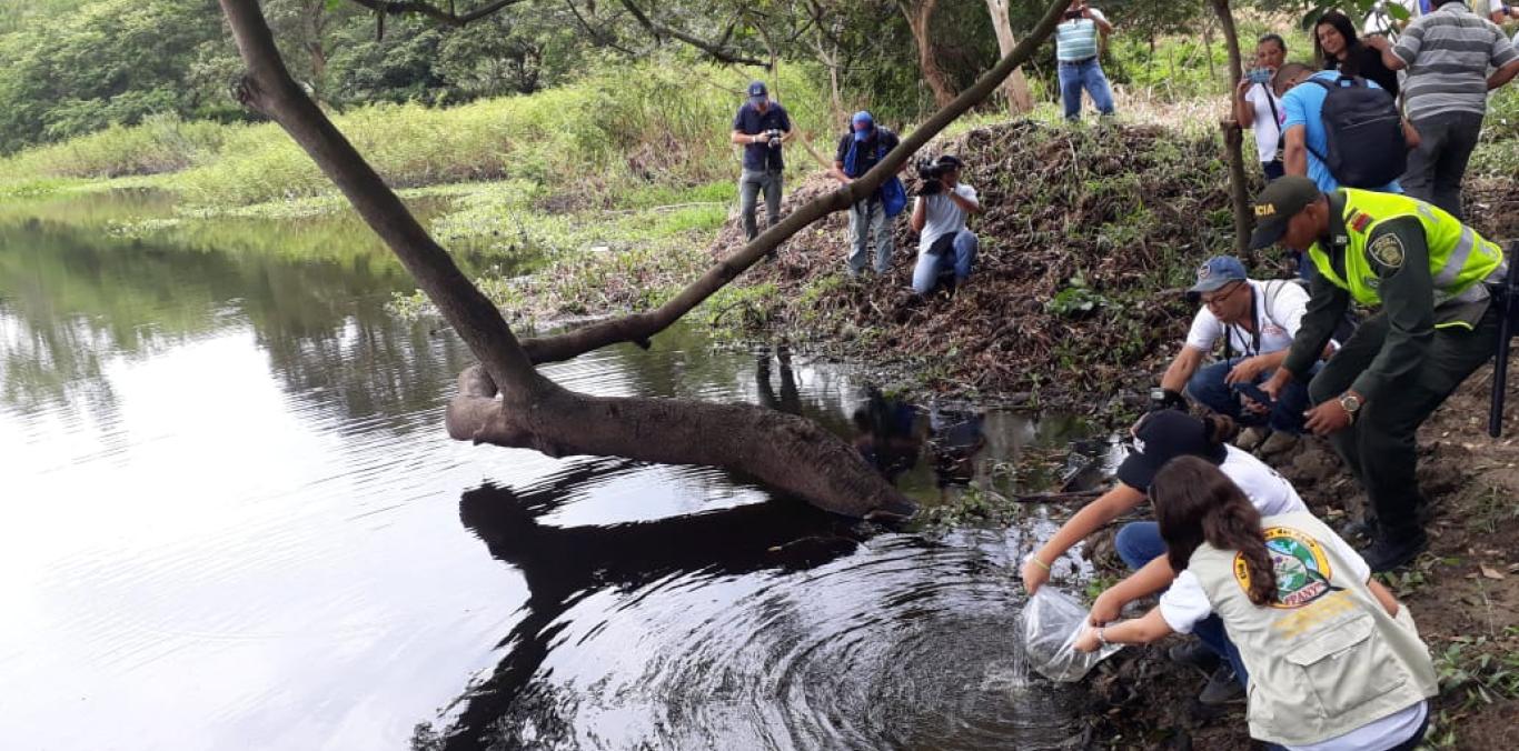 EN YOTOCO HAY UN SISTEMA MUNICIPAL DE ÁREAS PROTEGIDAS PENSADO DESDE LA COMUNIDAD