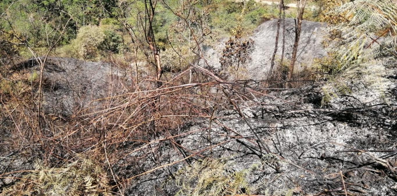 CVC RECOMIENDA EVITAR ACTIVIDADES DE ROCERIA Y QUEMA DE BASURAS