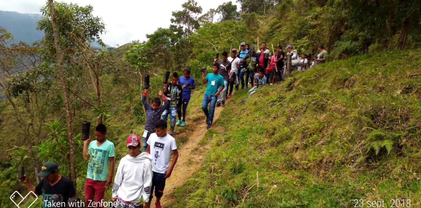 SIEMBRA DE 1200 NUEVOS ÁRBOLES PARA LA CONSERVACIÓN DE LA PARTE ALTA DE FLORIDA  