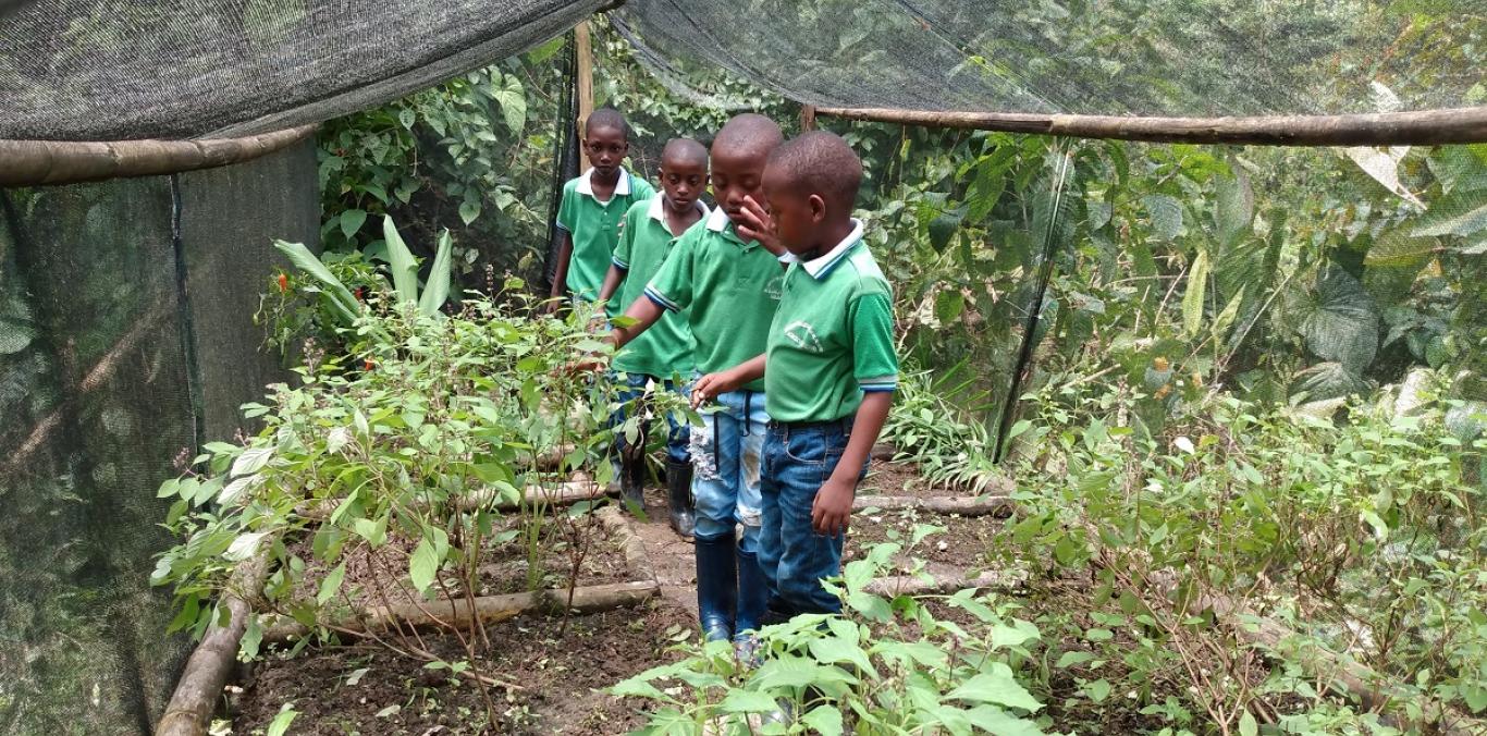 HUERTAS ESCOLARES, UNA FORMA DE PROTEGER EL AMBIENTE 