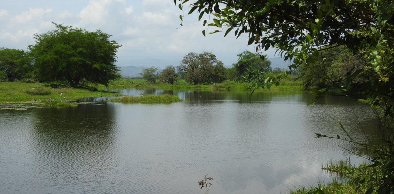 DESDE EL VALLE DEL CAUCA SE LLAMA A CUIDAR LOS HUMEDALES COMO GUARDIANES DE LA VIDA 