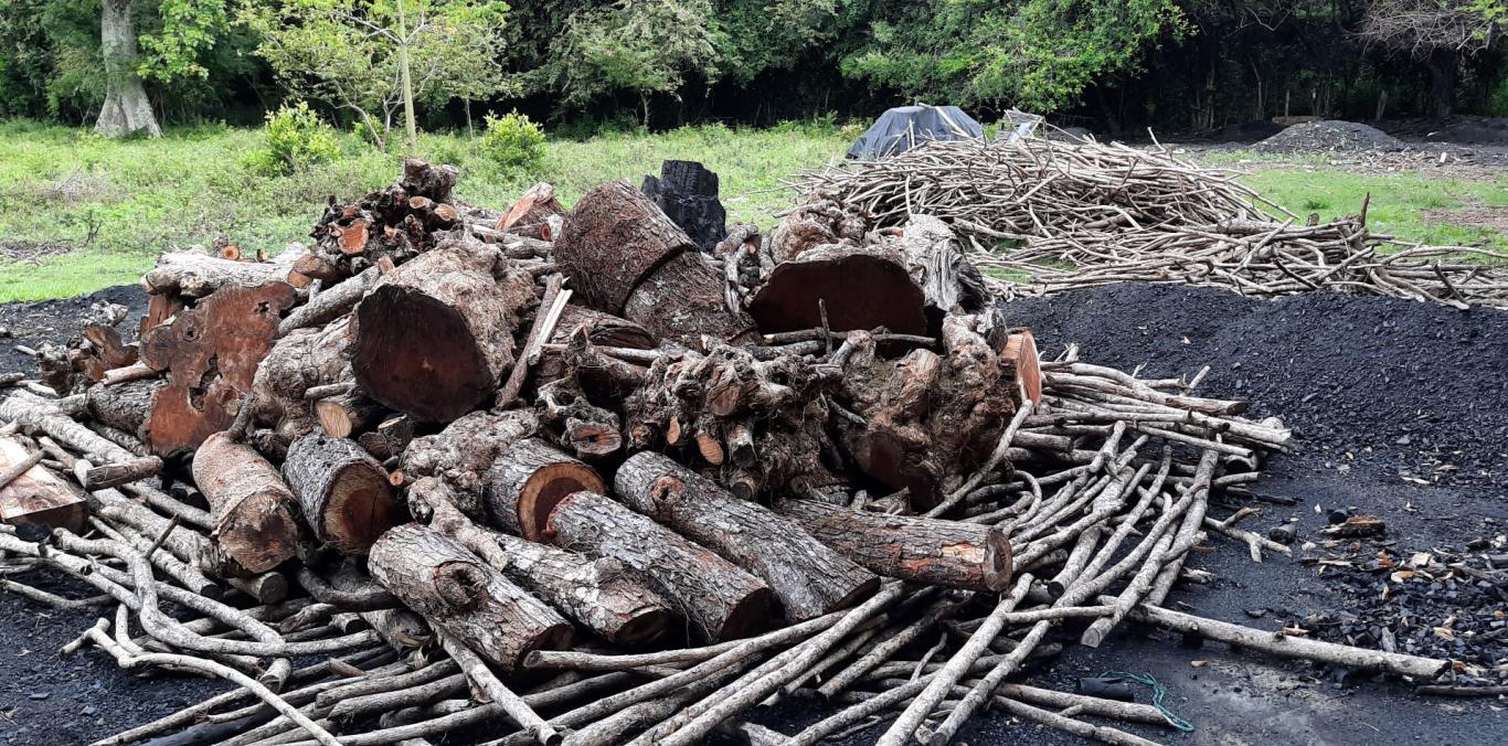 CVC SUSPENDE QUEMA DE CARBÓN EN ZONA RURAL DE CARTAGO