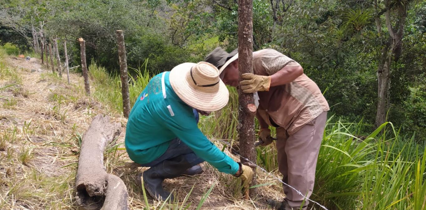 TORO SE SUMA A LA CAMPAÑA VALLE MÁS VERDE