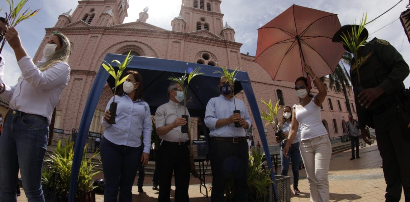 LA CVC ENTREGÓ 18.000 PALMAS VIVAS EN EL DEPARTAMENTO