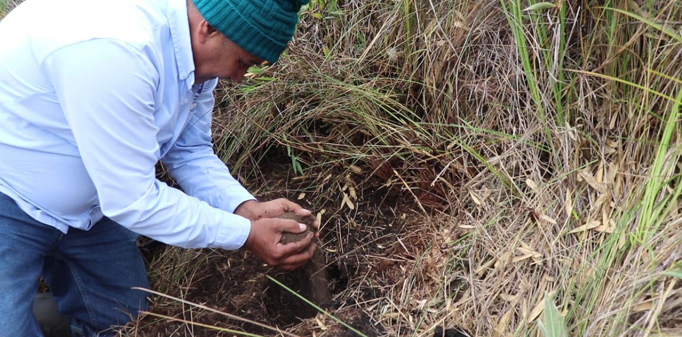 200 FRAILEJONES FUERON SEMBRADOS EN EL "VALLE DE LOS FRAILEJONES" 