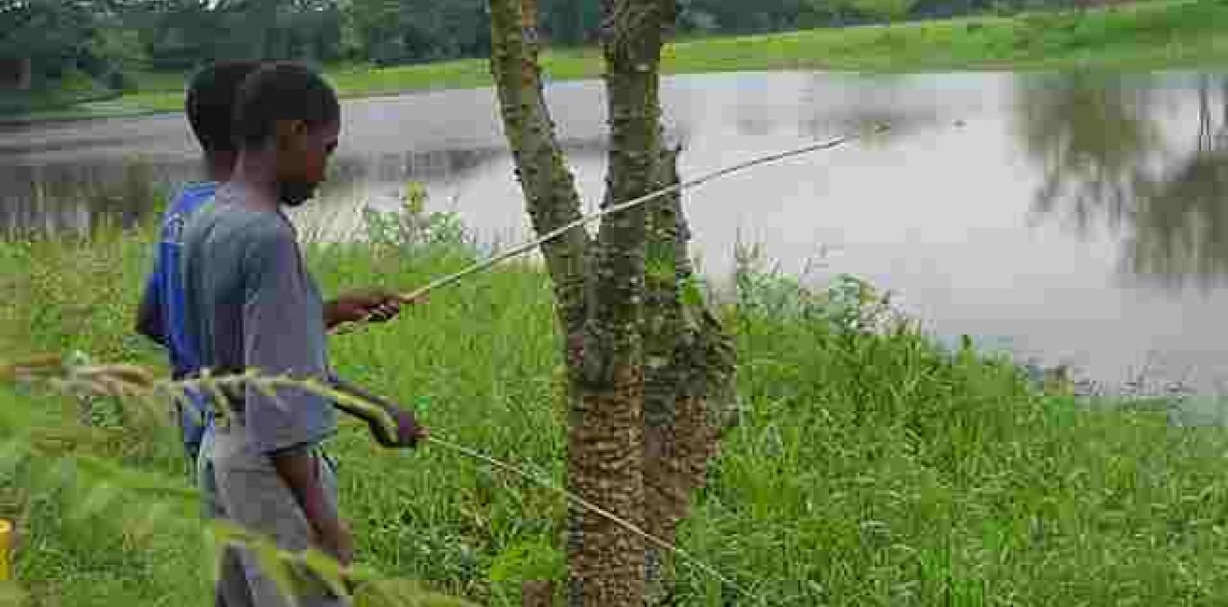 PREMIAREMOS LAS EXPERIENCIAS AMBIENTALES MÁS DESTACADAS EN EL VALLE DEL CAUCA