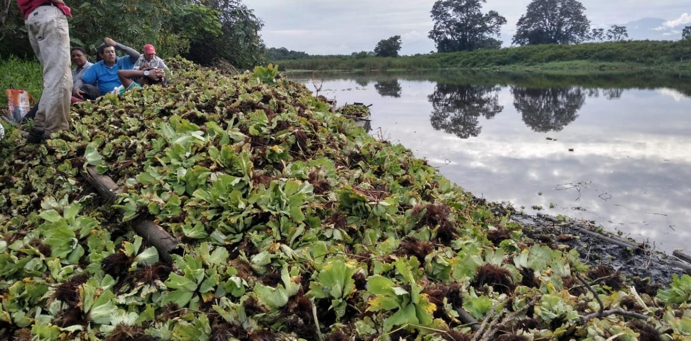 ACCIONES DE RECUPERACIÓN EN HUMEDAL BOCAS DE TULUÁ