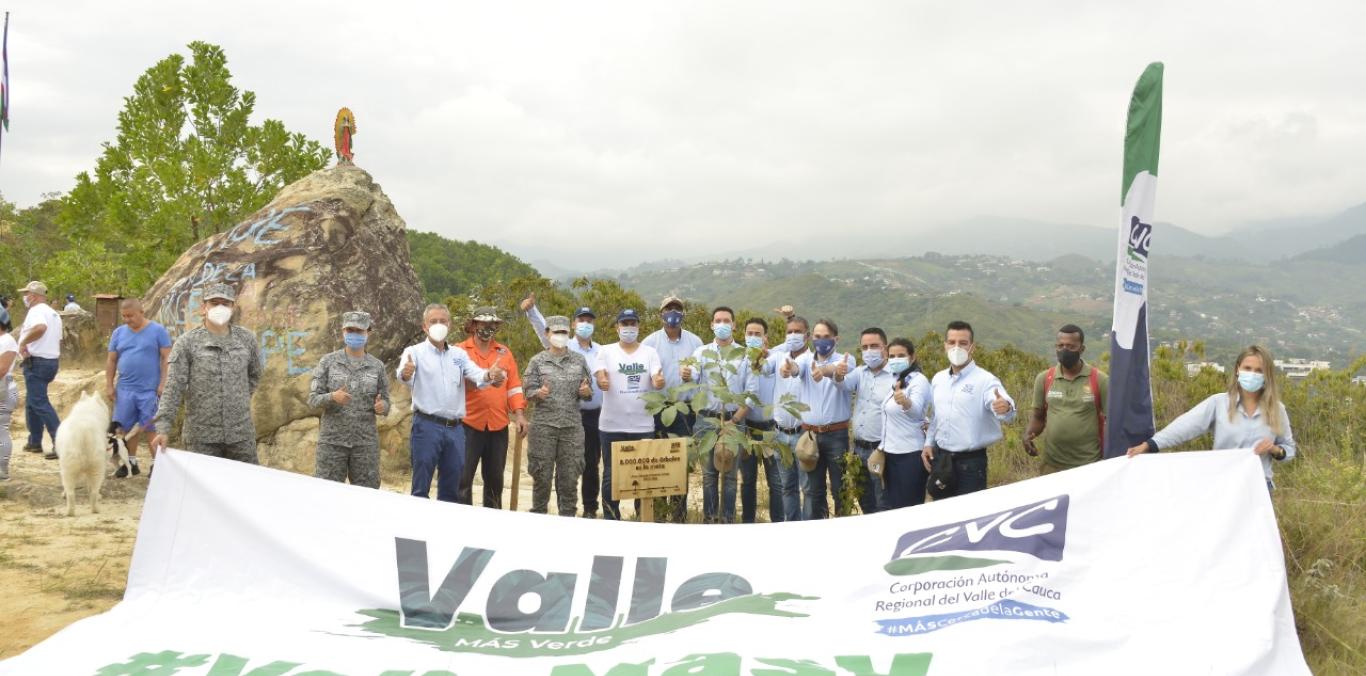UN GUAYACÁN SE CONVIRTIÓ EN EL ÁRBOL MILLÓN QUINIENTOS MIL DE VALLE MÁS VERDE