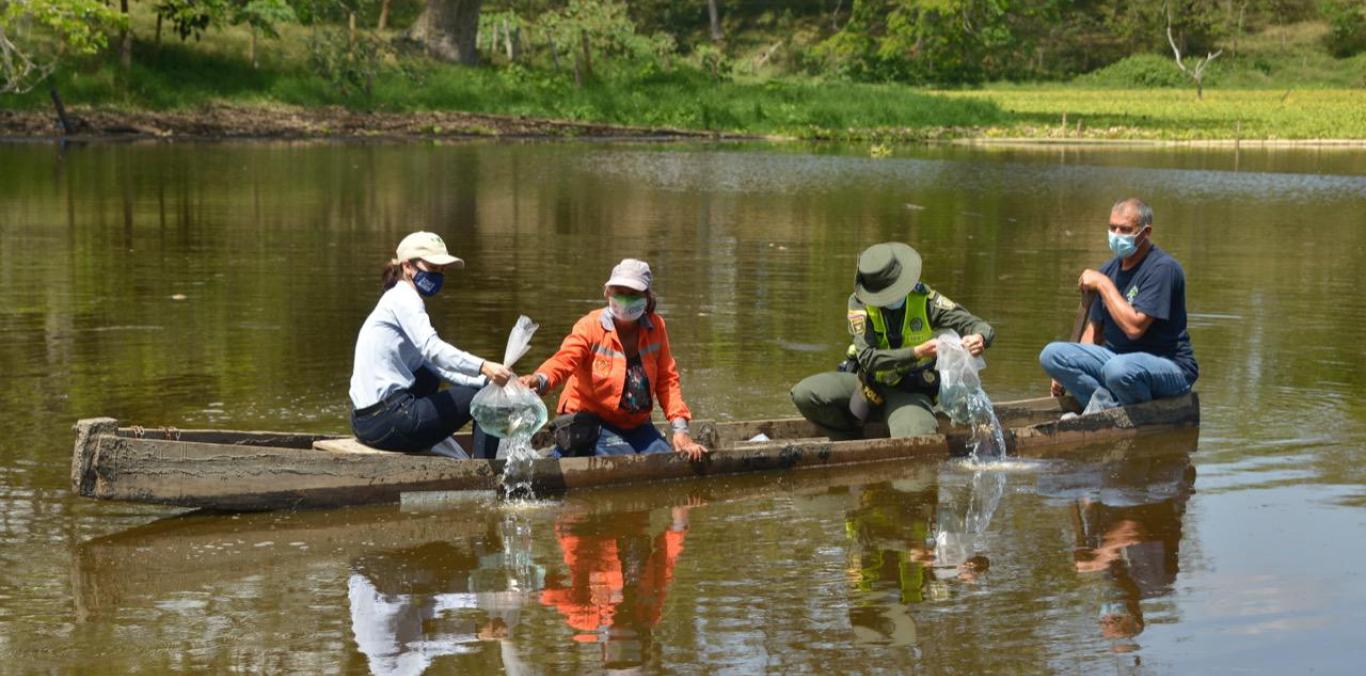 OXIGENARÁN HUMEDAL EL SAMÁN DE CARTAGO CON EQUIPO ALIMENTADO POR ENERGÍA SOLAR