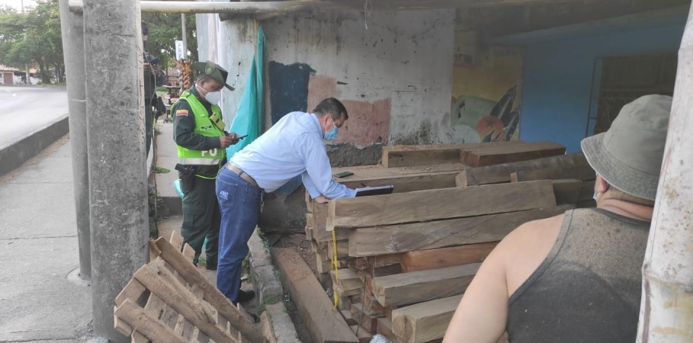 LA CVC LE APUESTA A LA MADERA LEGAL EN EL NORTE DEL VALLE 