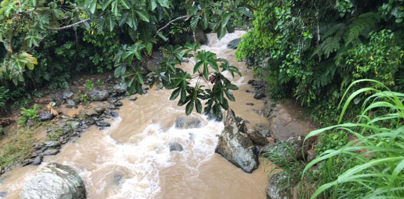 CUIDADO CON ESTAS FUENTES HÍDRICAS EN DAGUA