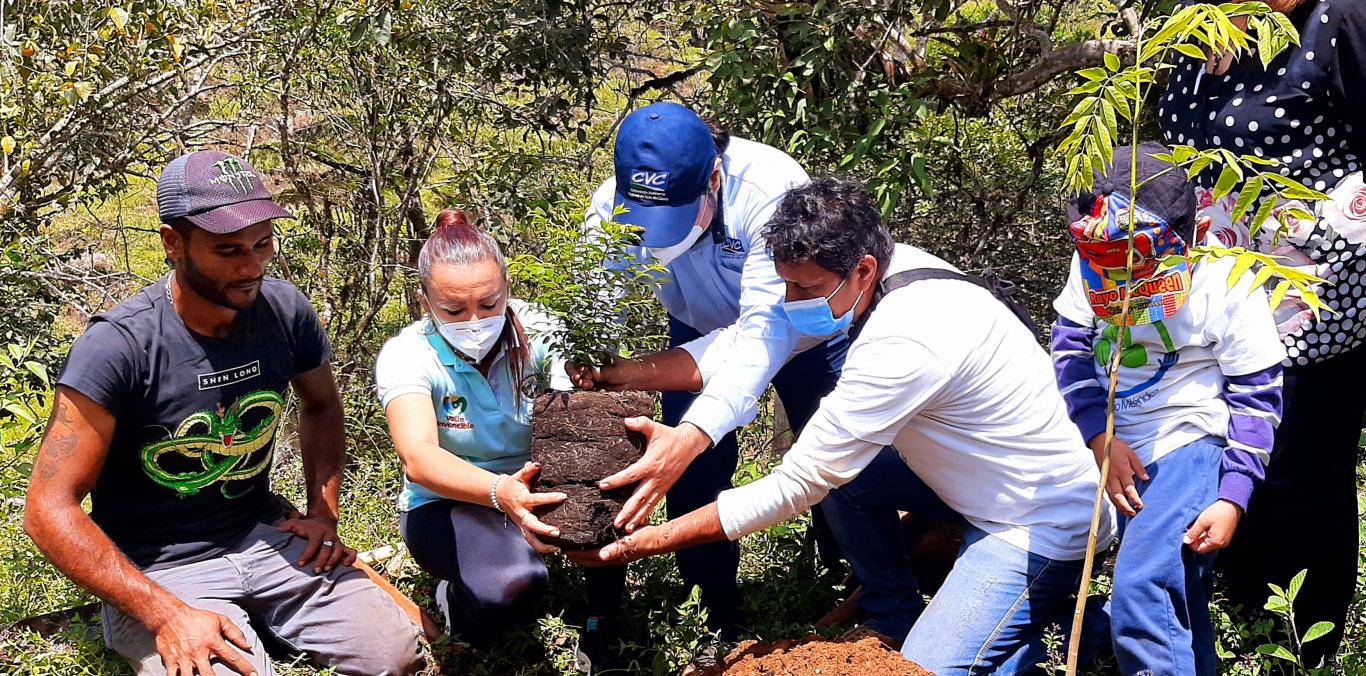 5.000 ÁRBOLES MÁS SE SEMBRARON EN EL ÁREA DE PROTECCIÓN DEL RÍO MELÉNDEZ