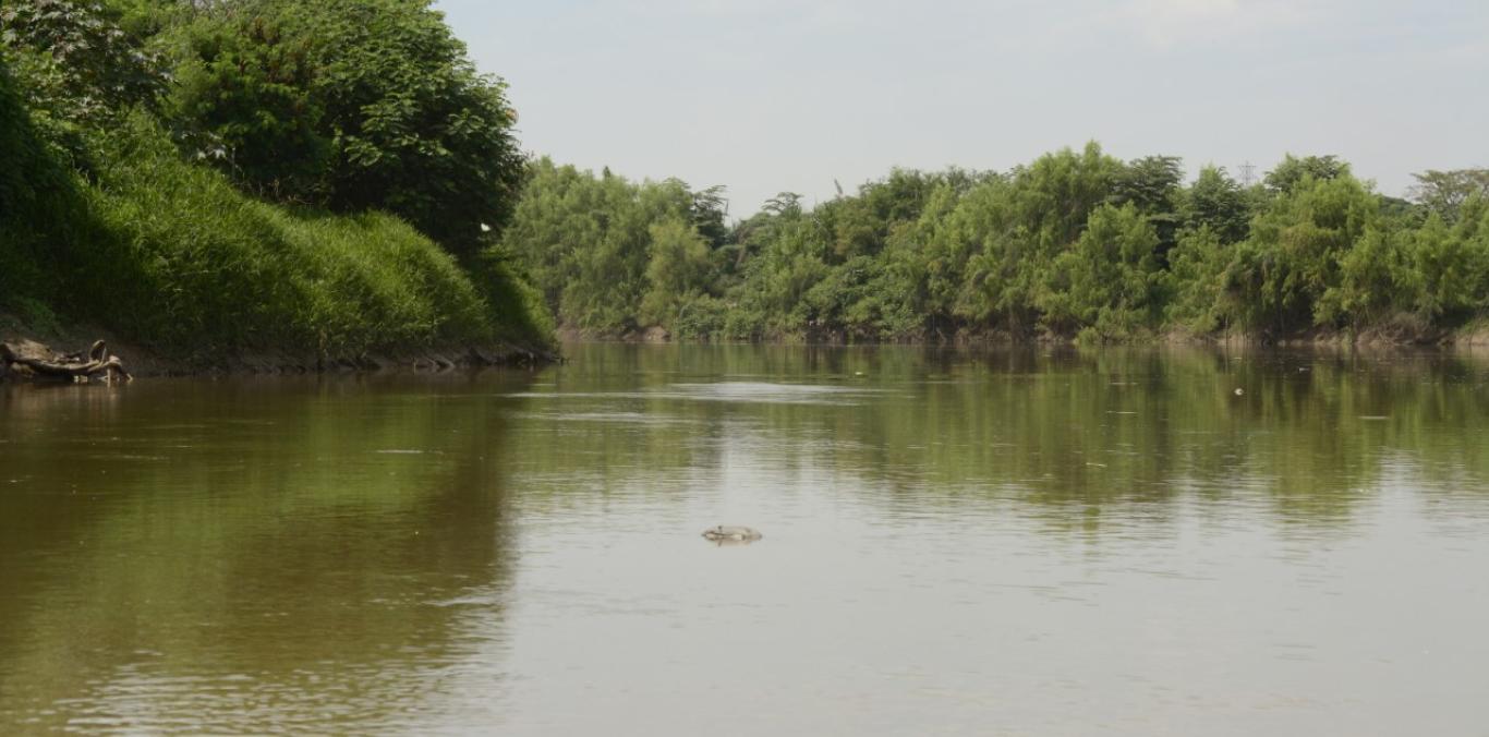 APLAZADAS PRUEBAS DE TRAZADORES EN EL RÍO CAUCA
