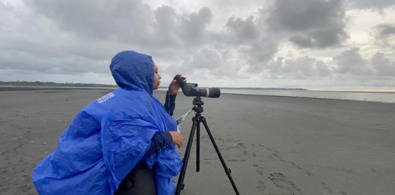 SE INICIÓ MONITOREO DE AVES EN PUNTA SOLDADO, BUENAVENTURA