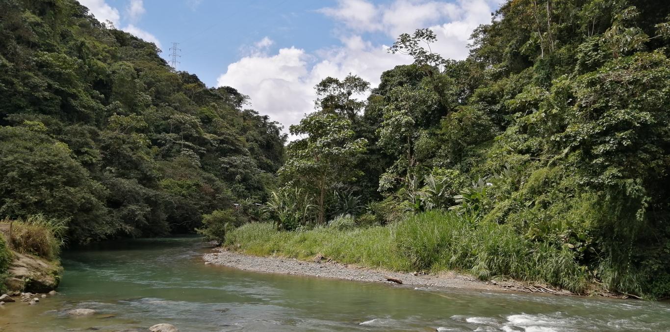 DAGUA, MUNICIPIO BIODIVERSO DEL VALLE DEL CAUCA
