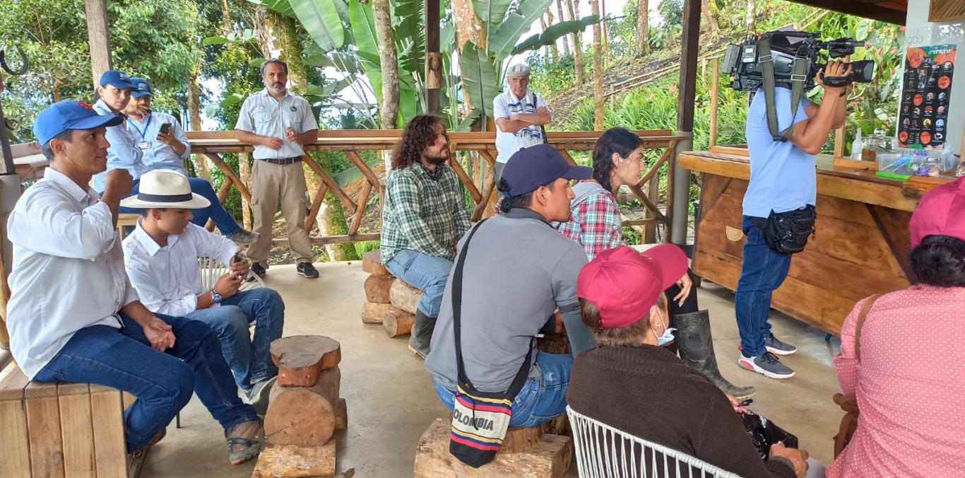 CACAO ORGÁNICO Y OTROS NEGOCIOS VERDES EN EL NORTE DEL VALLE LE APUNTAN A LA PROTECCIÓN DE LOS BOSQUES Y EL AGUA