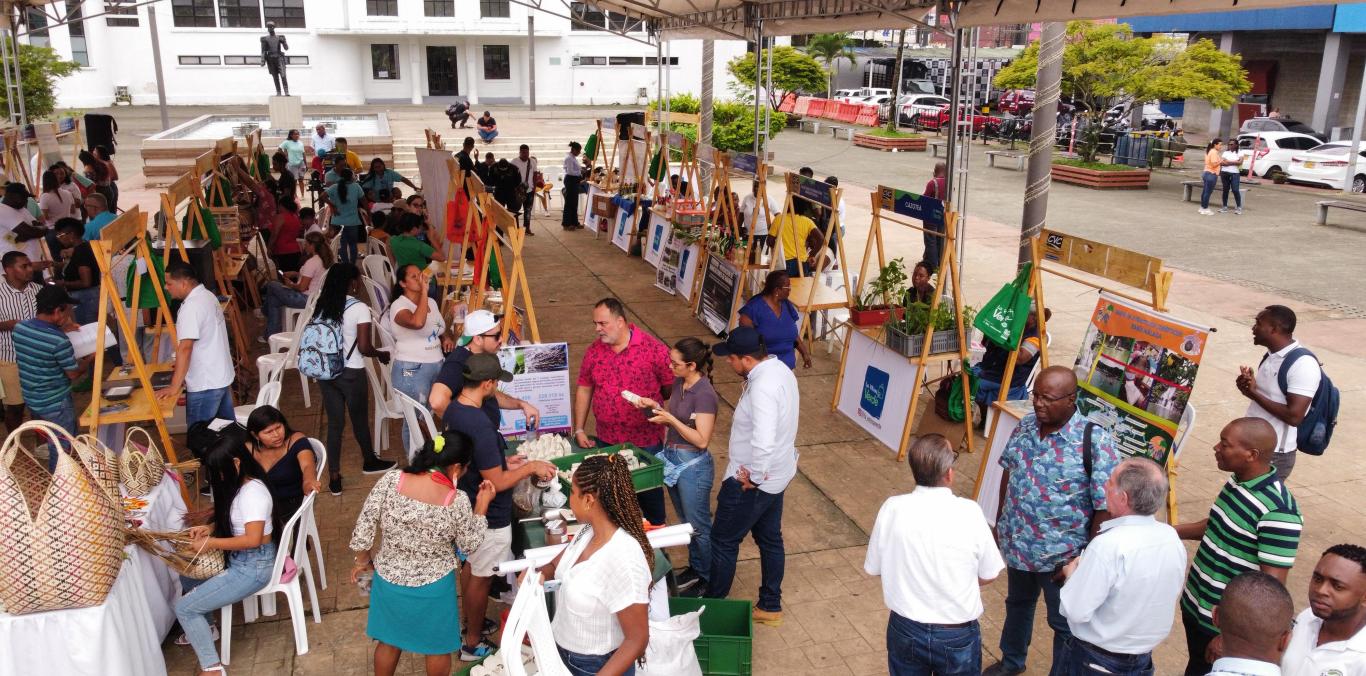 ÉXITO TOTAL EN LA VITRINA VERDE DE BUENAVENTURA