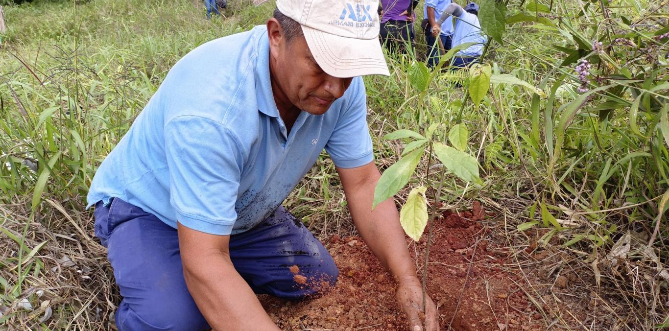 700 NUEVOS ÁRBOLES PROTEGERÁN FUENTE HÍDRICA EN CALIMA EL DARIÉN