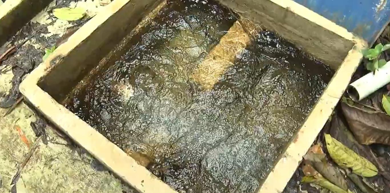 AGUA POTABLE PARA LA VIDA, GRACIAS A ACUEDUCTO EN COMUNIDAD INDÍGENA