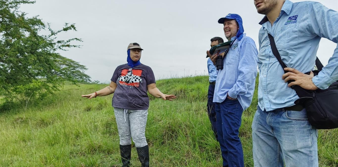  CVC ATENDIÓ REPORTE DE PRESENCIA DE BABILLAS EN PREDIO RURAL DE LA VICTORIA