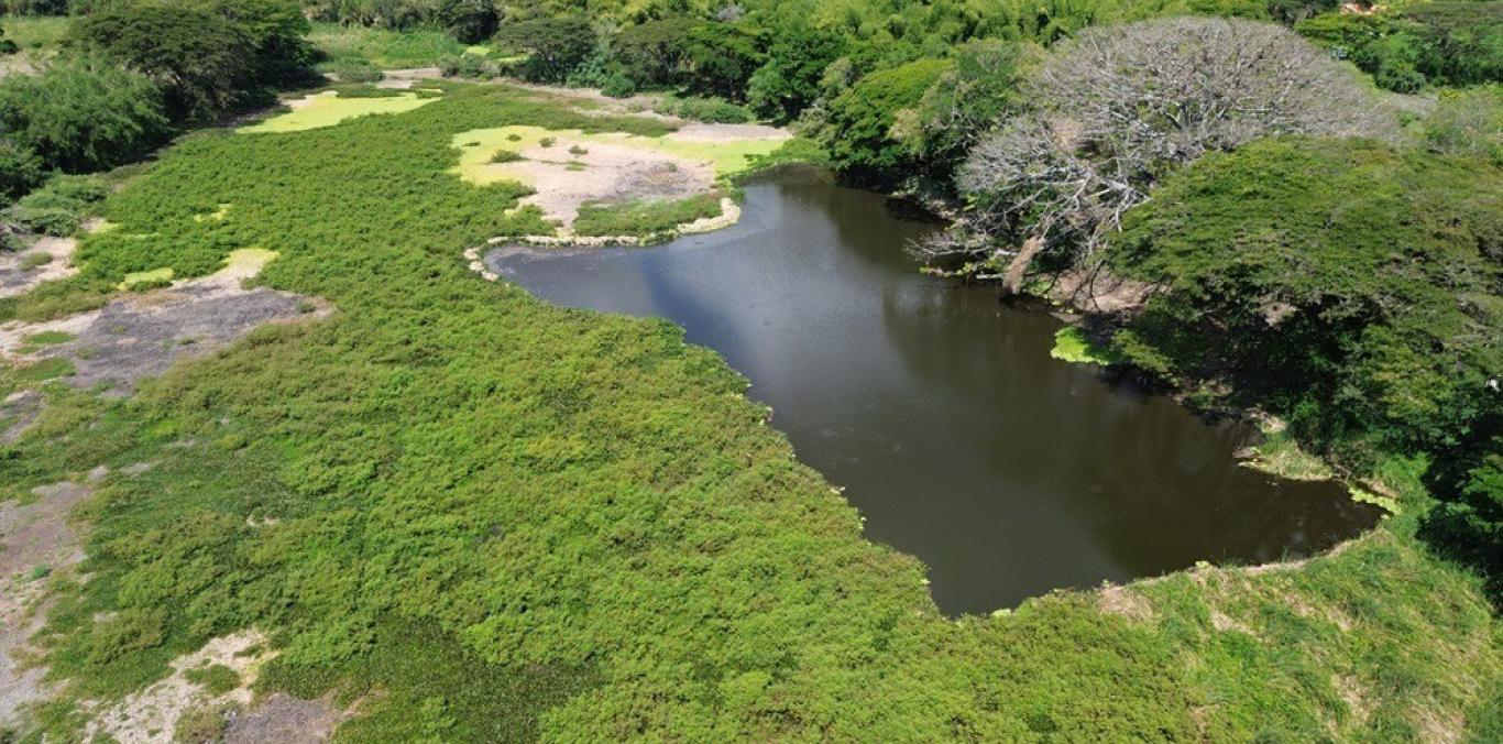DIEZ HUMEDALES LÉNTICOS DEL VALLE DEL CAUCA SERÁN INTERVENIDOS