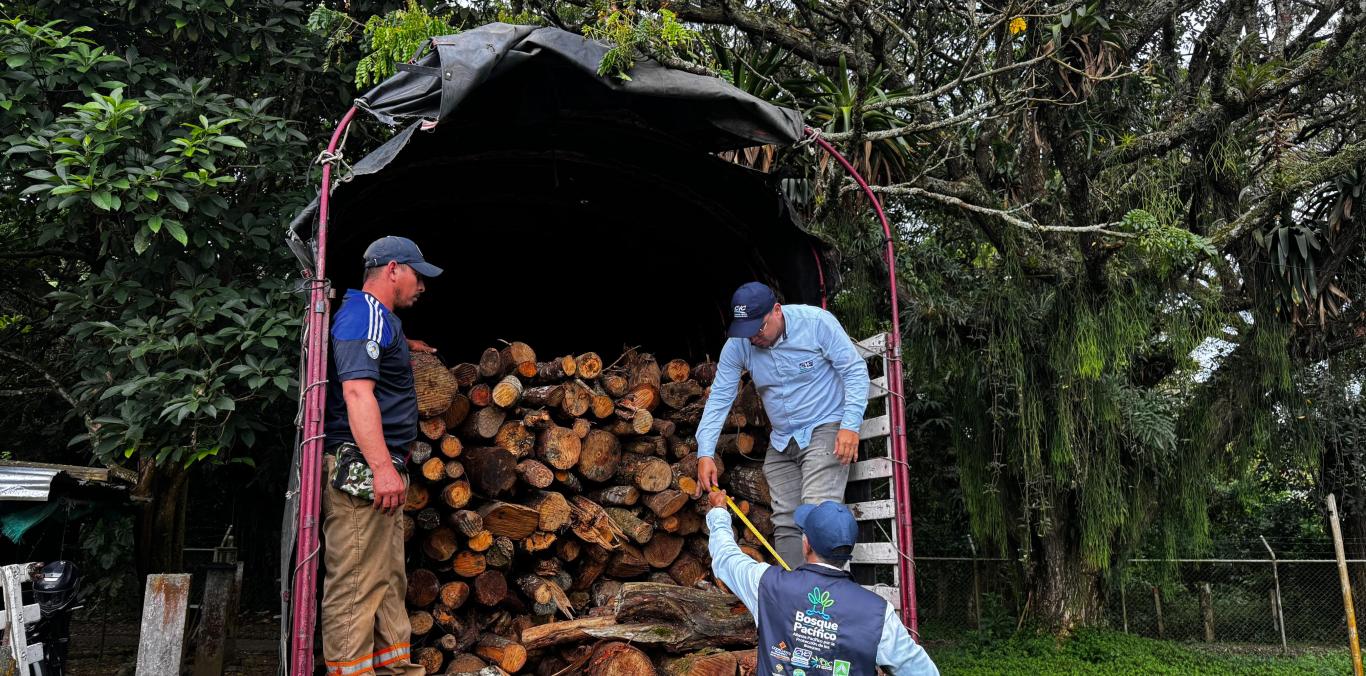 LUCHA CONTRA EL TRÁFICO DE MADERA CONTINÚA EN VÍAS DEL VALLE DEL CAUCA