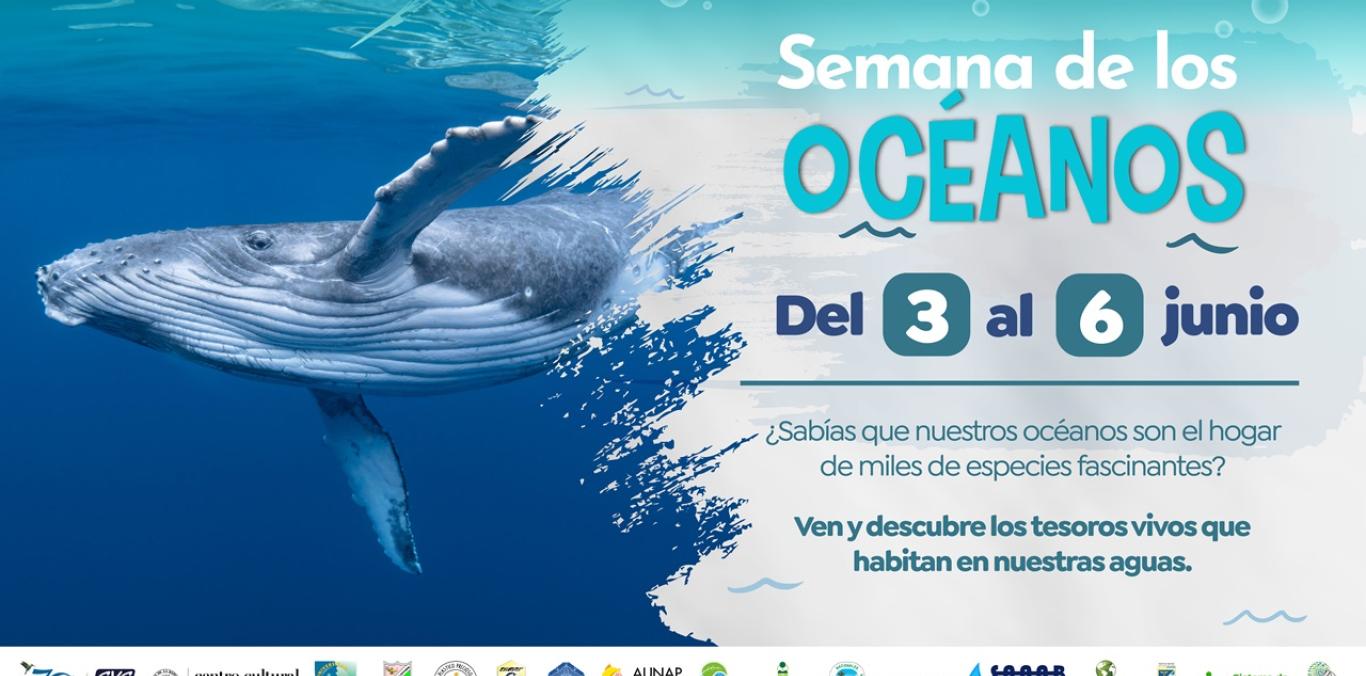 BUENAVENTURA CELEBRARÁ LA RIQUEZA DE SUS MARES CON LA SEMANA DE LOS OCÉANOS 2025