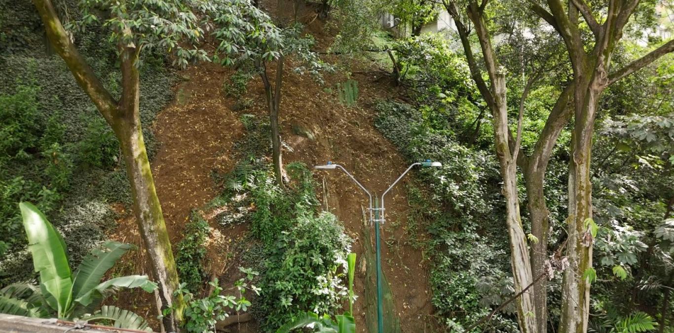 POR RIESGO DE DESLIZAMIENTOS SE INTERVINIERON SIETE ÁRBOLES EN EL MUSEO LA TERTULIA