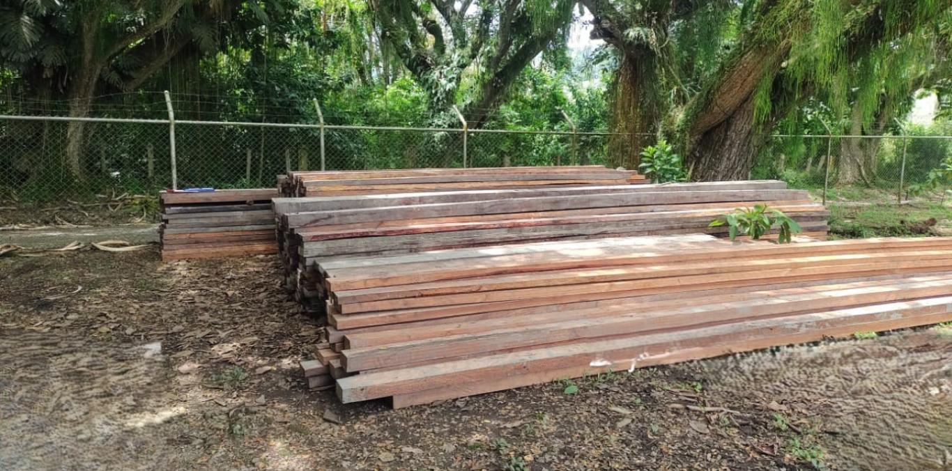 CVC DECOMISA 456 VARAS DE MANGLE Y ABRE PROCESO SANCIONATORIO