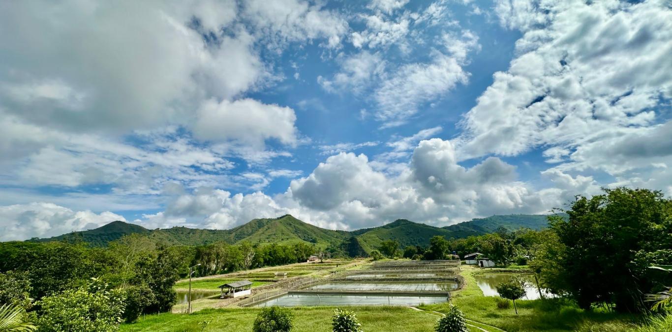 MÁS ALLÁ DEL AULA: ESTUDIANTES DE UNICAUCA APRENDEN EN LABORATORIO DE LA CVC
