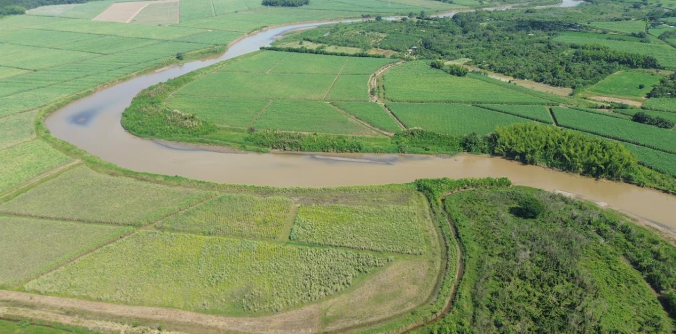 SE HAN RESTAURADO 150 HECTÁREAS DE FRANJAS FORESTALES PROTECTORAS DEL RÍO CAUCA