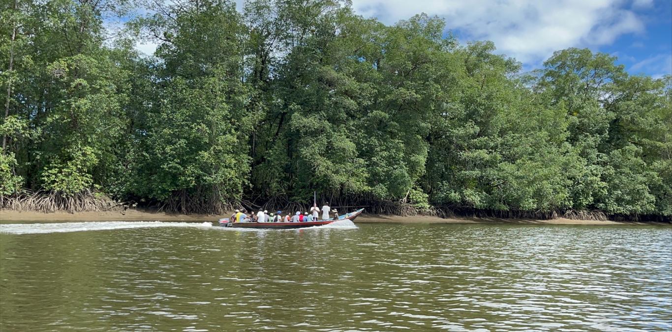 MANGLARES DEL PACÍFICO VALLECAUCANO: CULTURA, COMUNIDAD Y CONSERVACIÓN TERRITORIAL