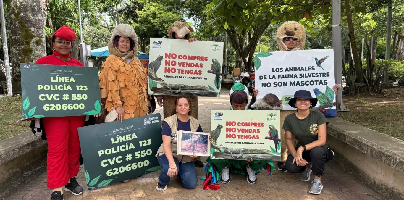 “¡ALTO, FAUNA EN LA VÍA!”: LA CVC INVITA A PROTEGER LA VIDA SILVESTRE EN CARTAGO Y EL NORTE DEL VALLE