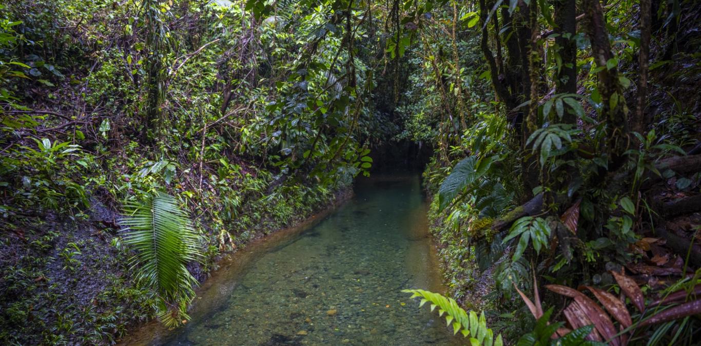 ¡POR PRIMERA VEZ EN TV! EL DOCUMENTAL QUE MUESTRA 70 JOYAS DE NUESTRA BIODIVERSIDAD