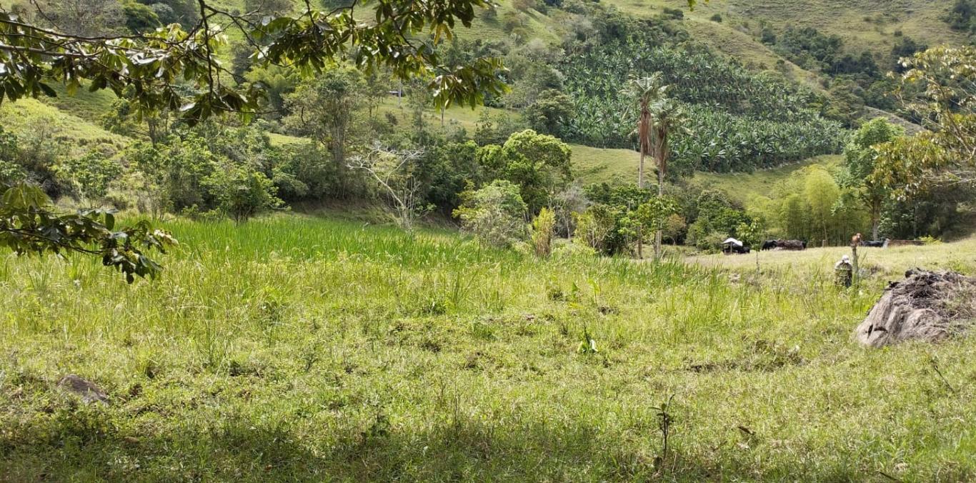 COMUNIDAD DE EL CAIRO CONFIRMA LA PUREZA DE SUS AGUAS