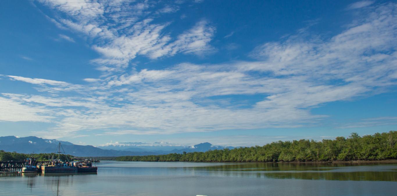 EL MAR LLEGA A CALI EN LA SEMANA DE LA BIODIVERSIDAD